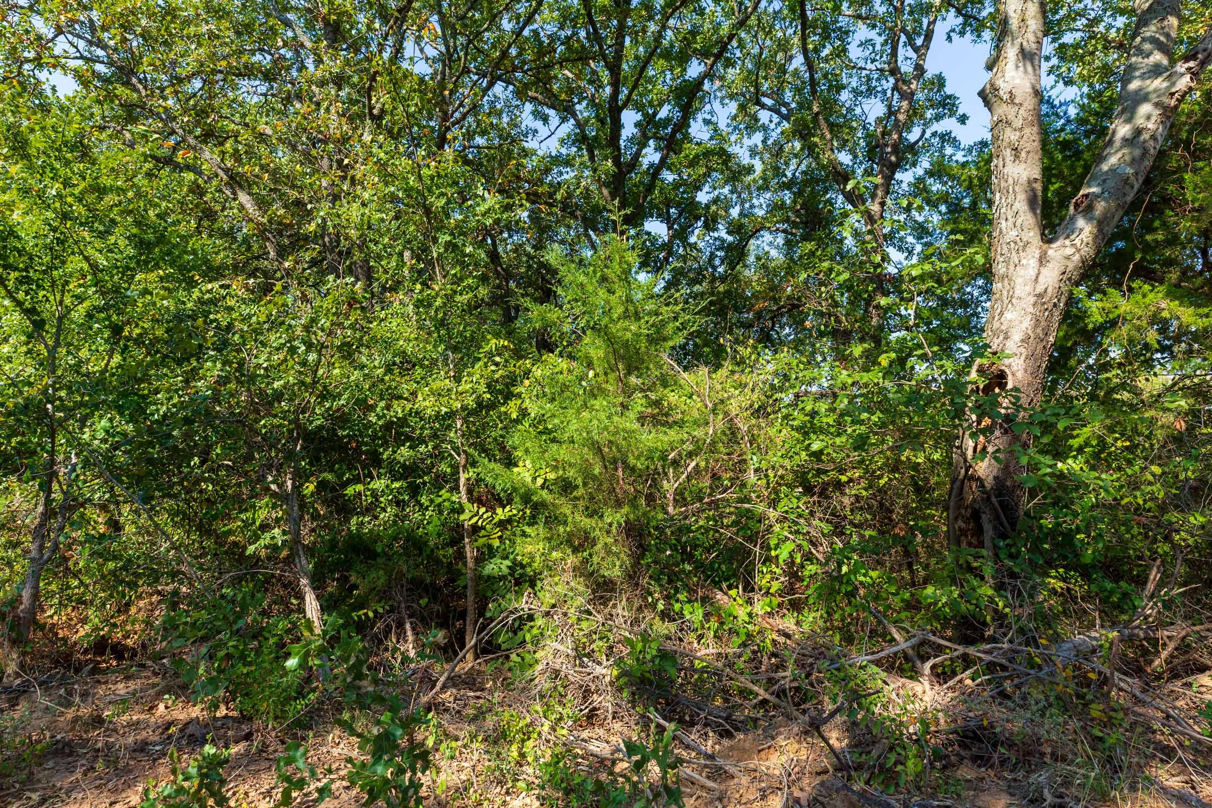 Canyon Creek Tract 15 photo 3