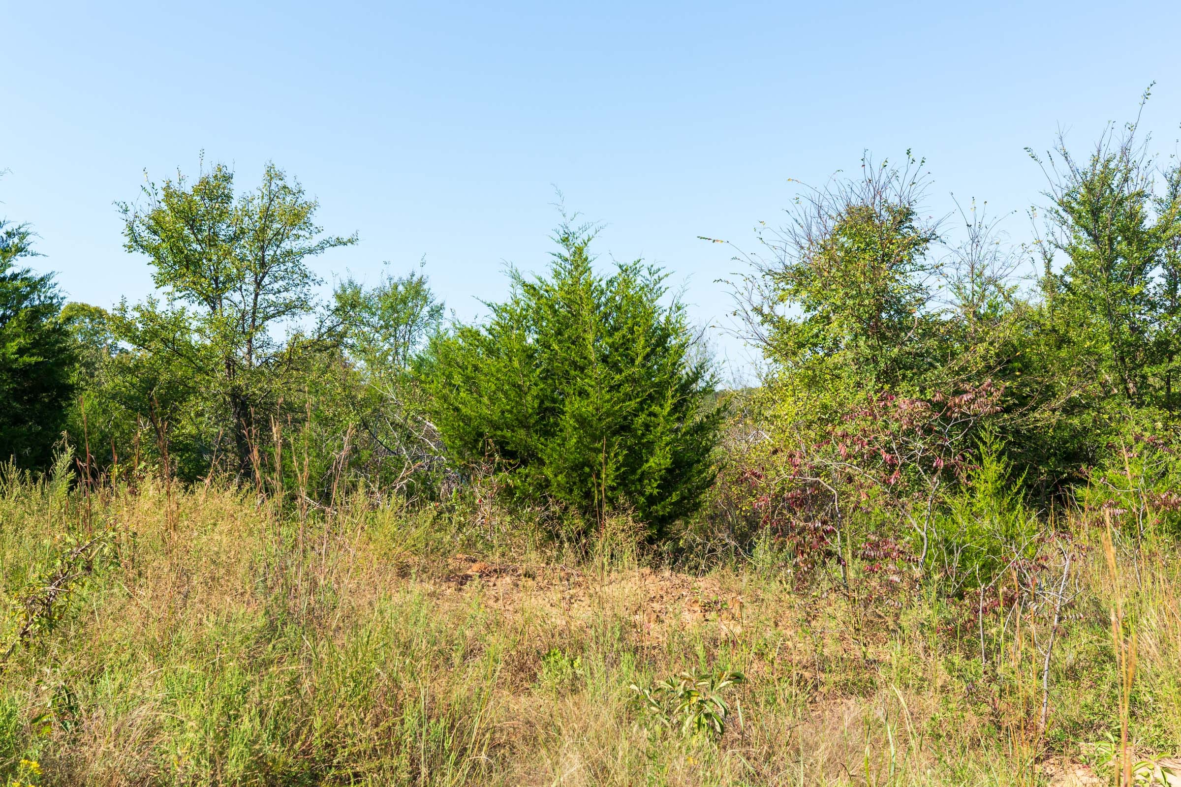 Canyon Creek Tract 15 photo 2