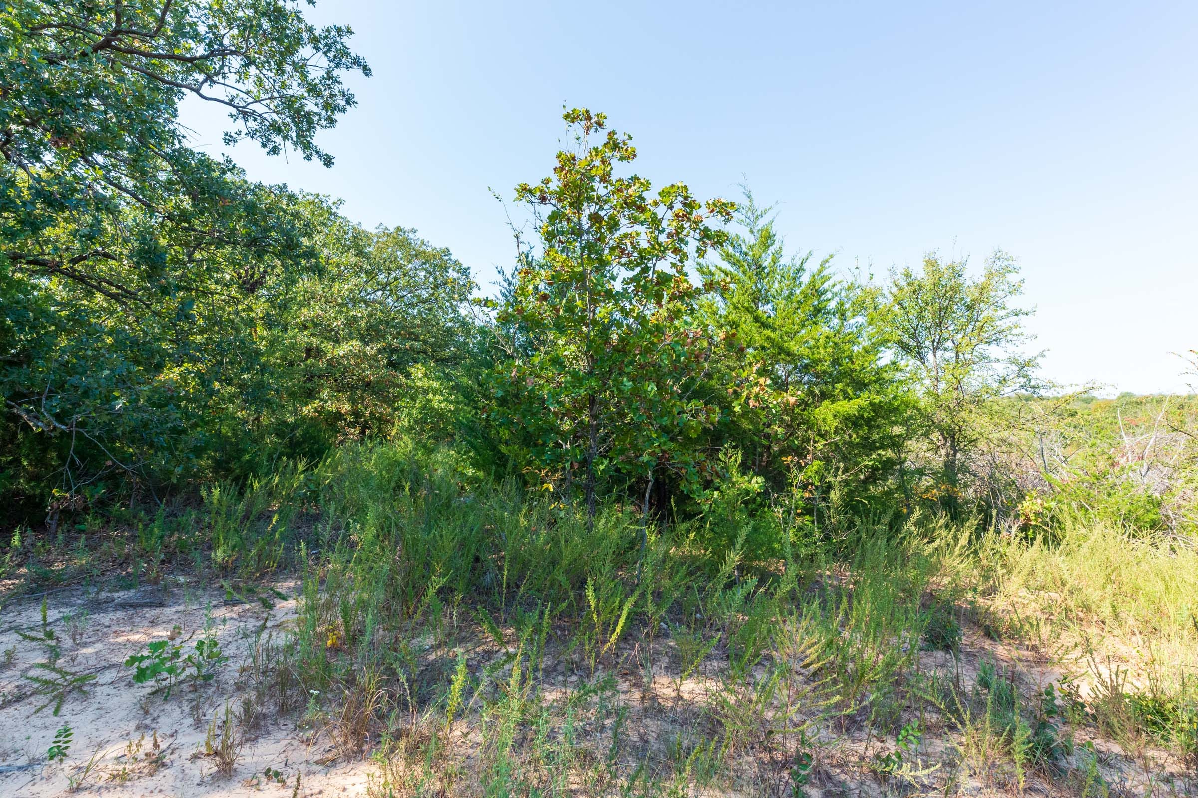 Canyon Creek Tract 15 photo 5