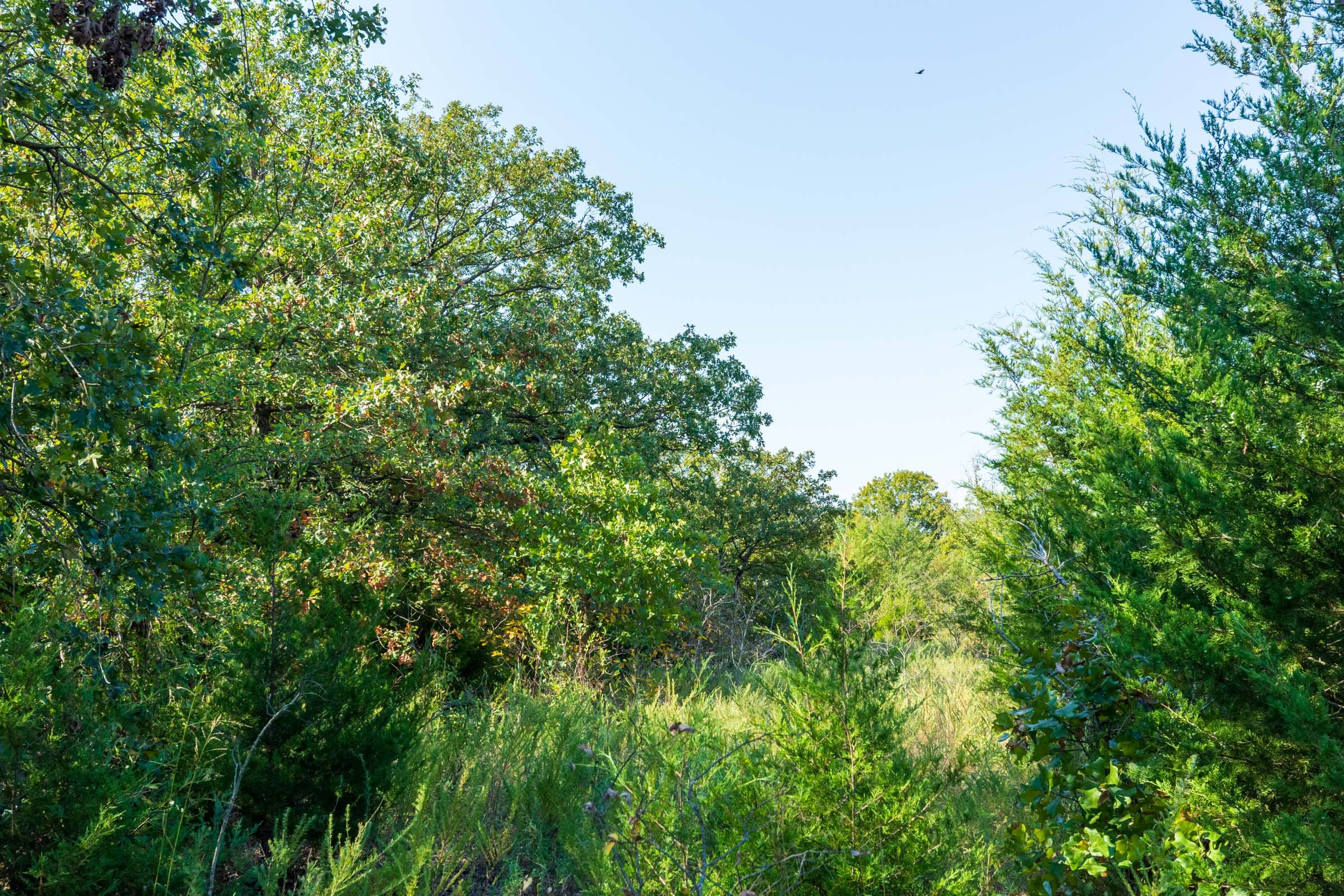 Canyon Creek Tract 15 photo 10