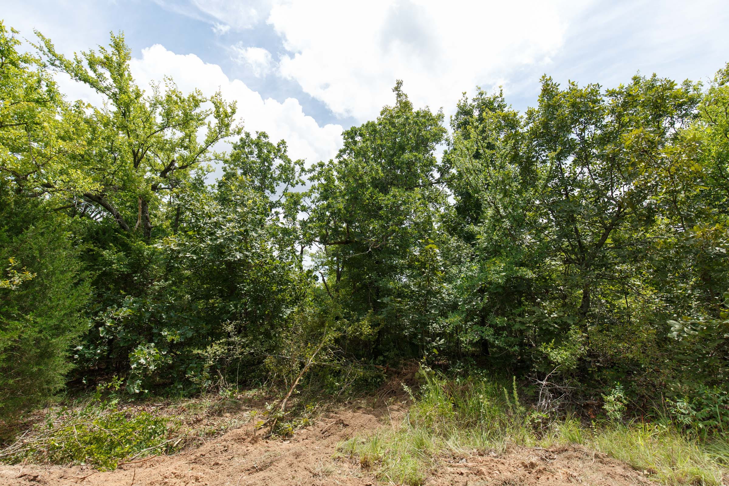 Timber Ridge Tract 24 photo 4