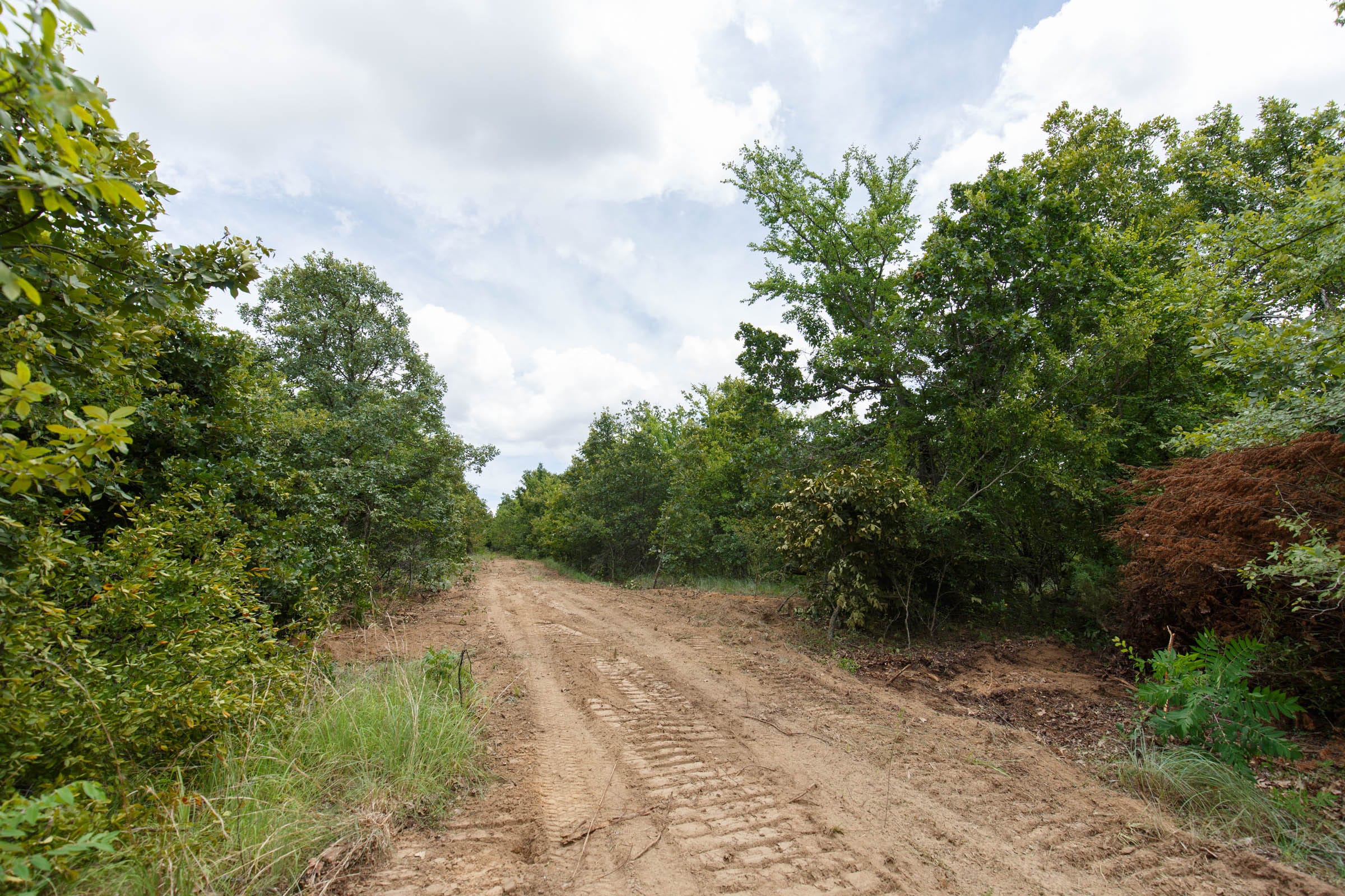 Timber Ridge Tract 24 photo 3