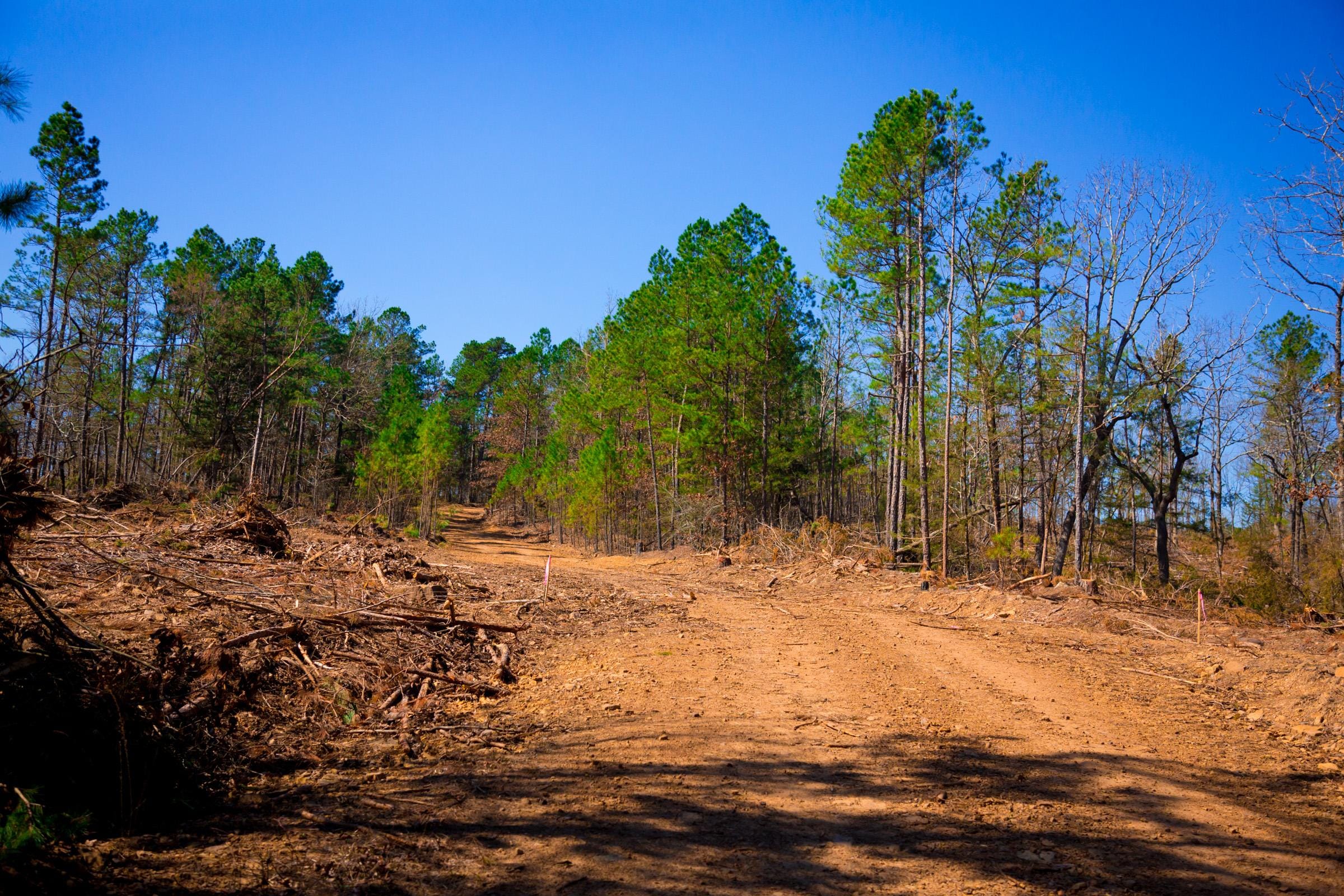 Stone Creek Phase II Tract 130 photo 6