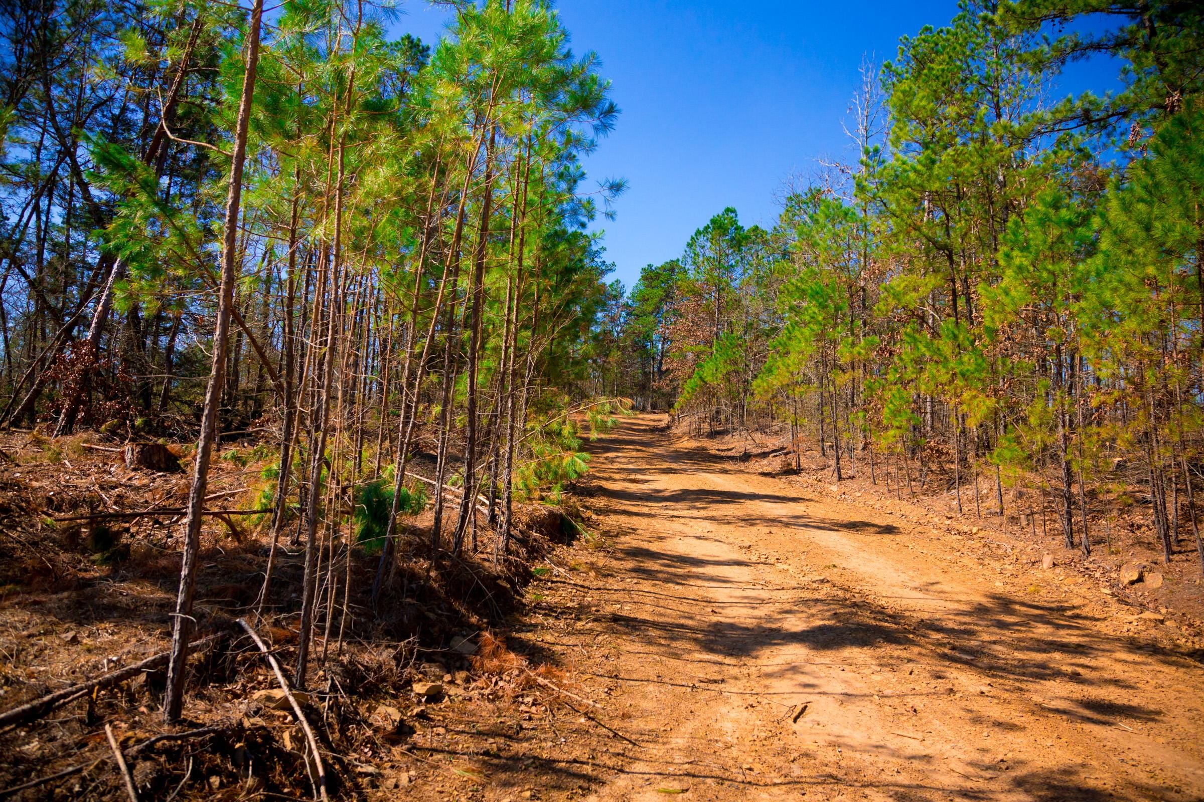 Stone Creek Phase II Tract 130 photo 2