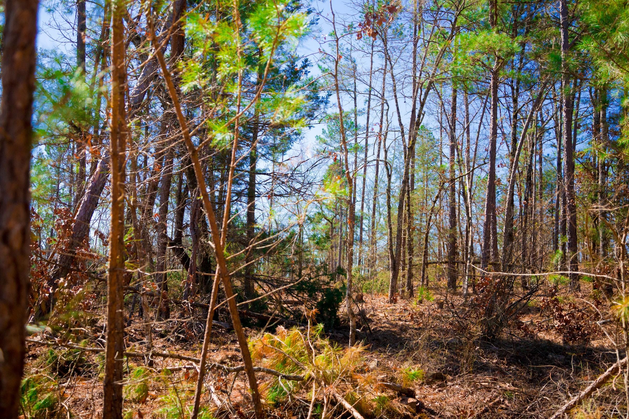 Stone Creek Phase II Tract 130 photo 7