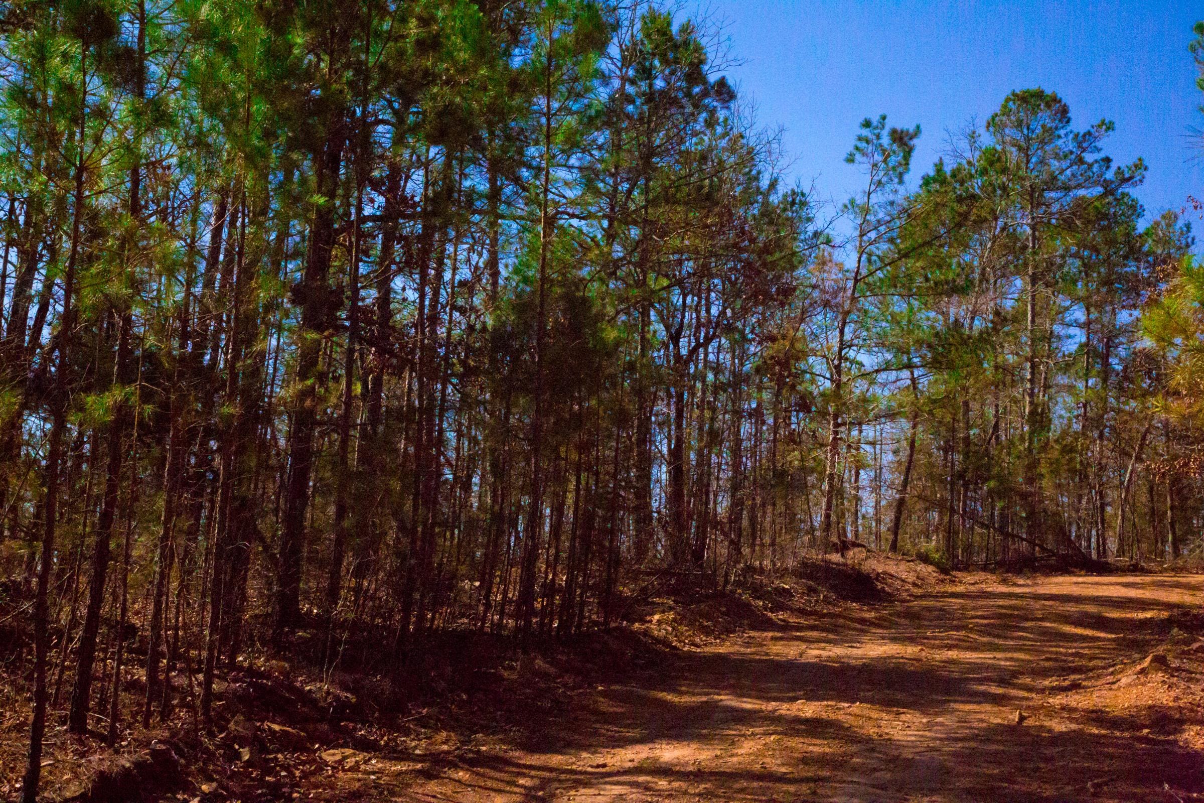 Stone Creek Phase II Tract 130 photo 10