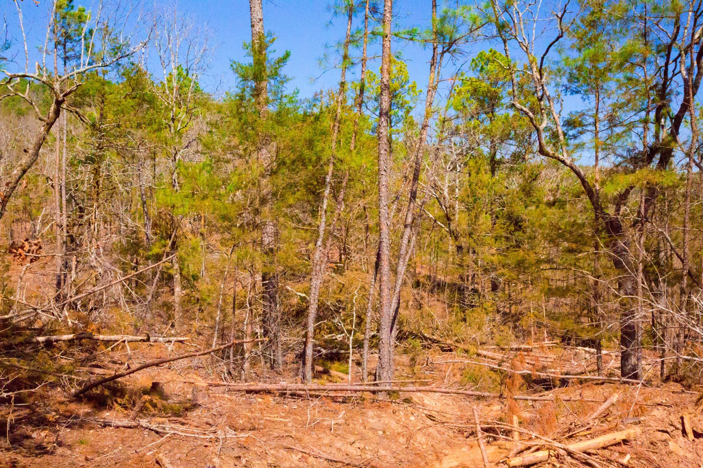 Stone Creek Phase II Tract 130 photo 11