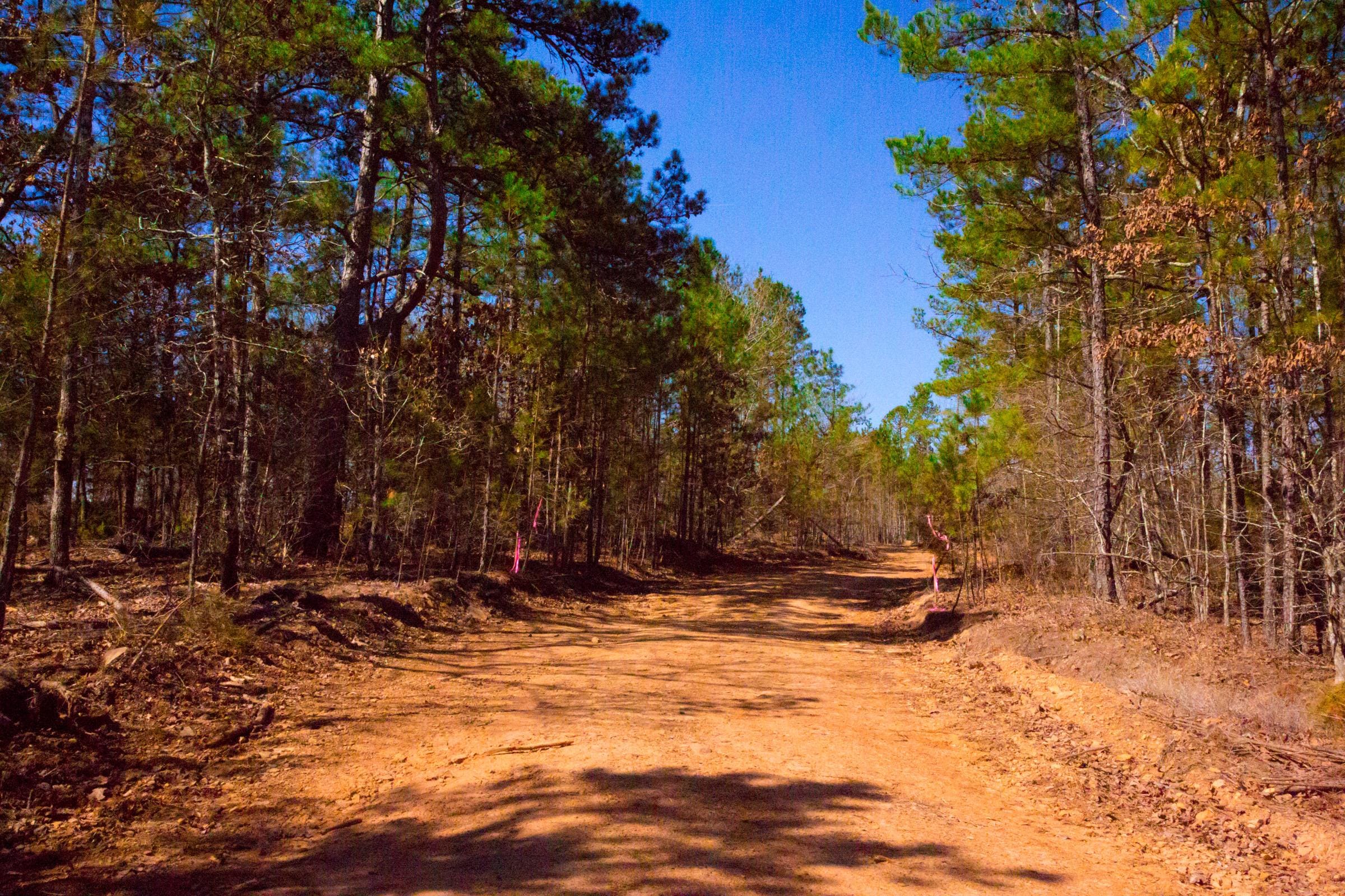 Stone Creek Phase II Tract 130 photo 12
