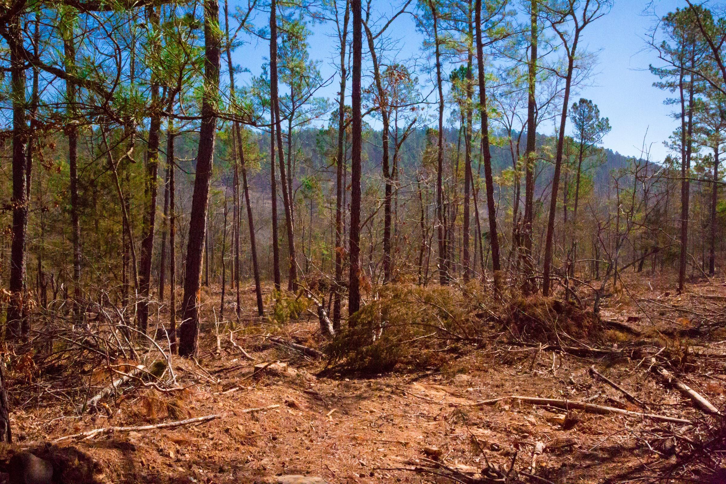 Stone Creek Phase II Tract 130 photo 13
