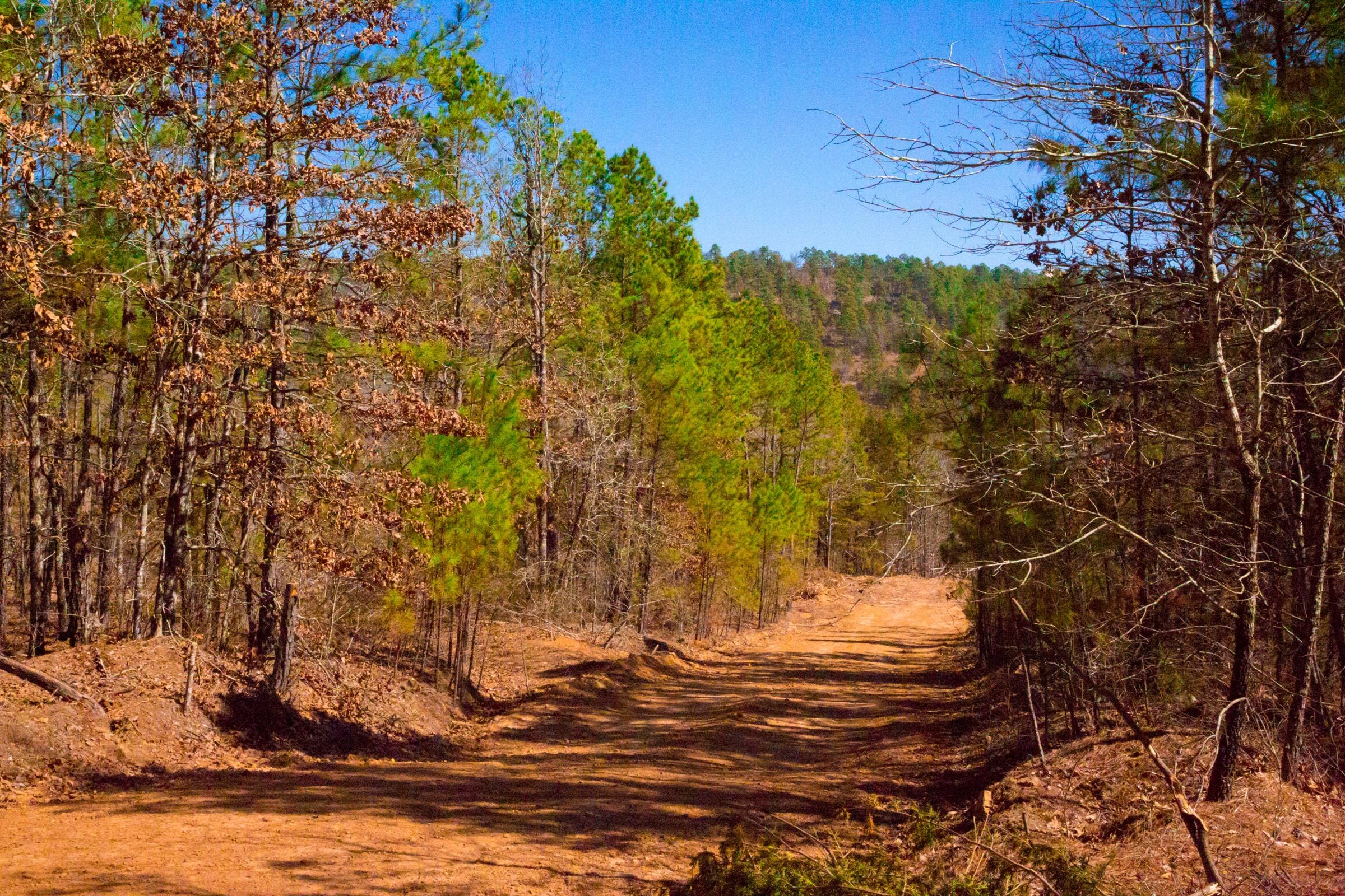 Stone Creek Phase II Tract 130 photo 14