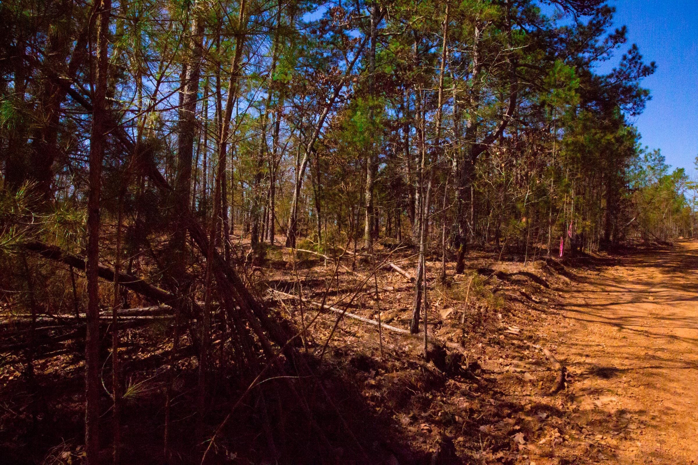 Stone Creek Phase II Tract 130 photo 15