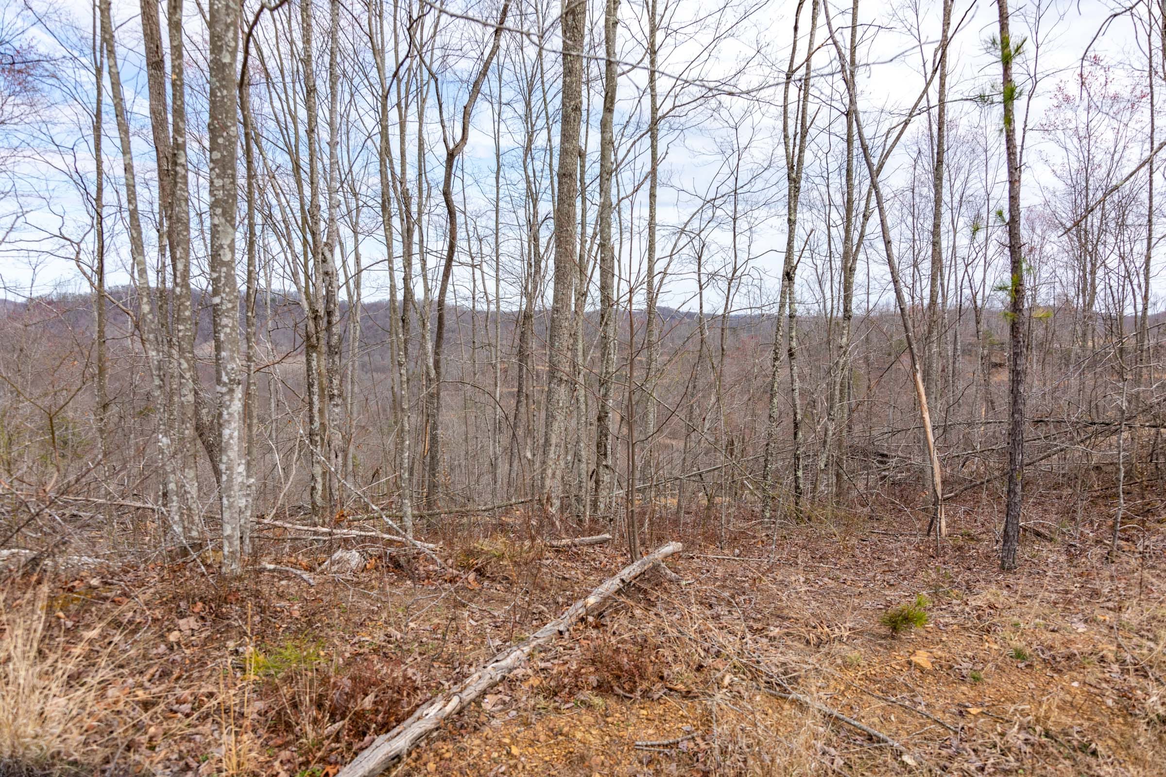 Creek Hollow Phase I Tract 31 photo 3