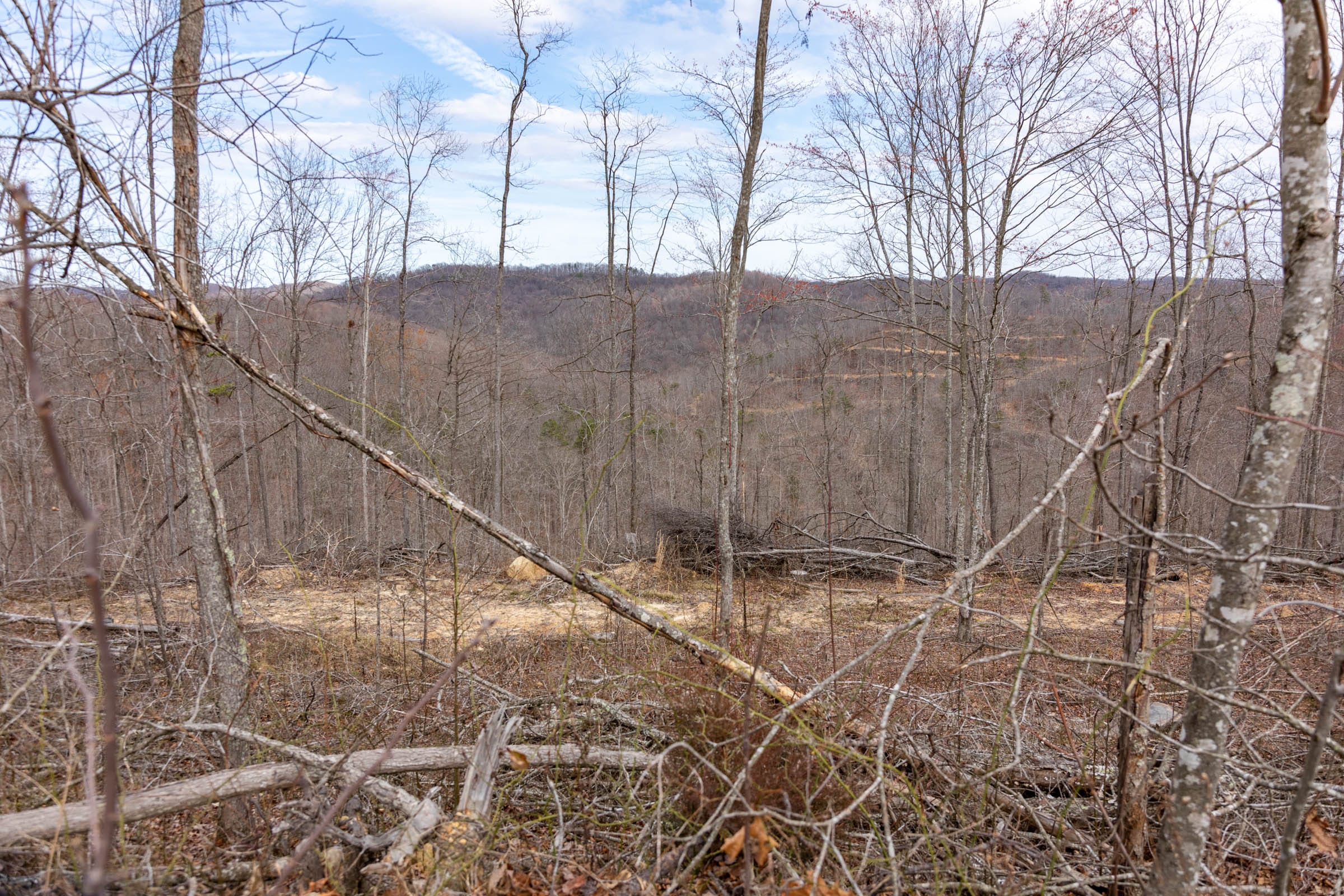 Creek Hollow Phase I Tract 31 photo 7