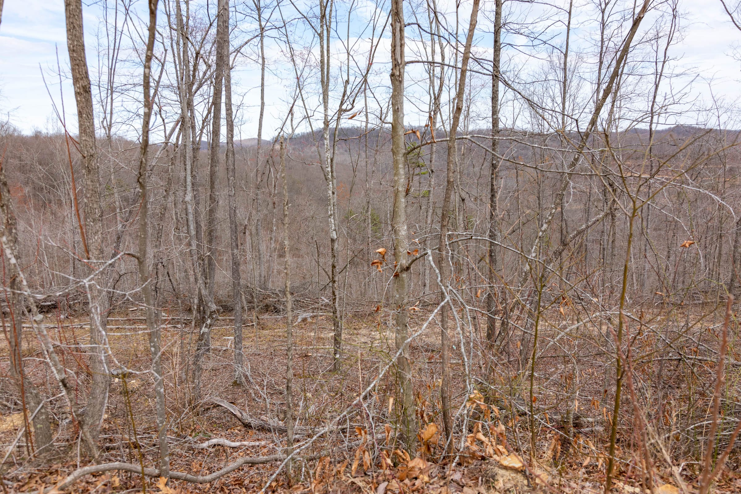 Creek Hollow Phase I Tract 31 photo 8