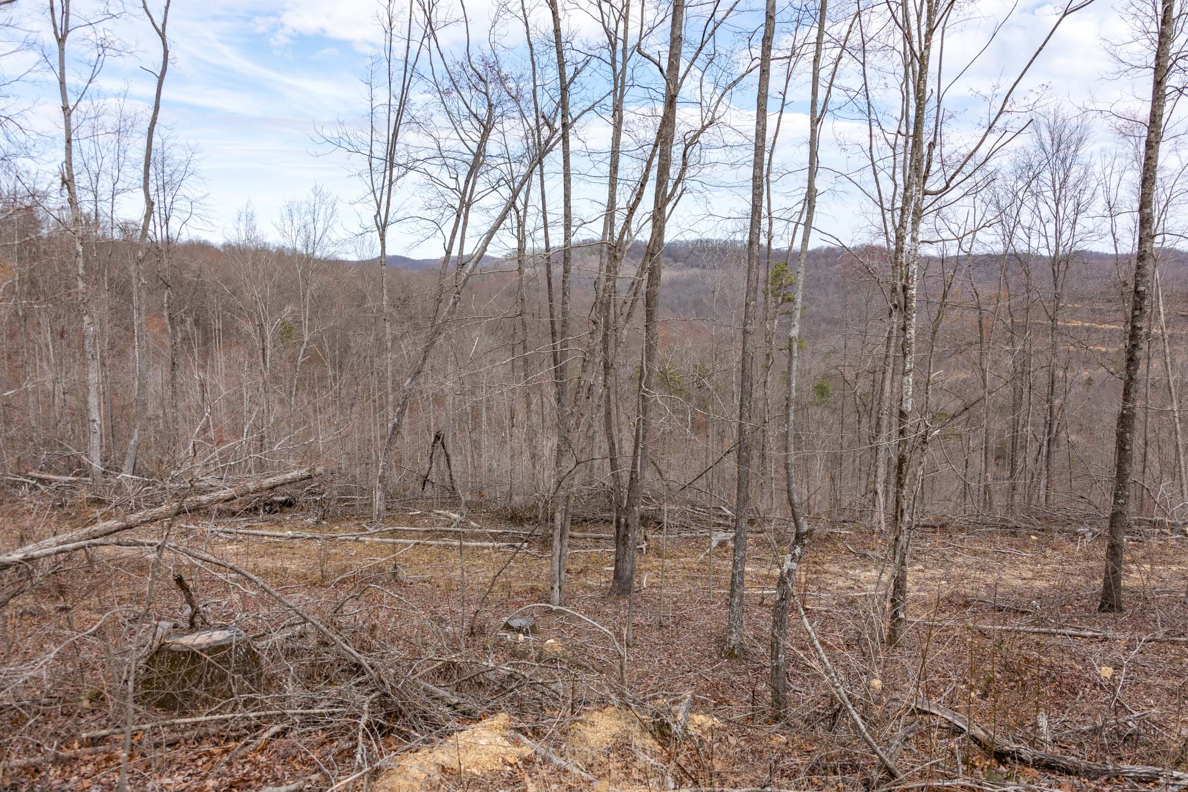 Creek Hollow Phase I Tract 31 photo 9