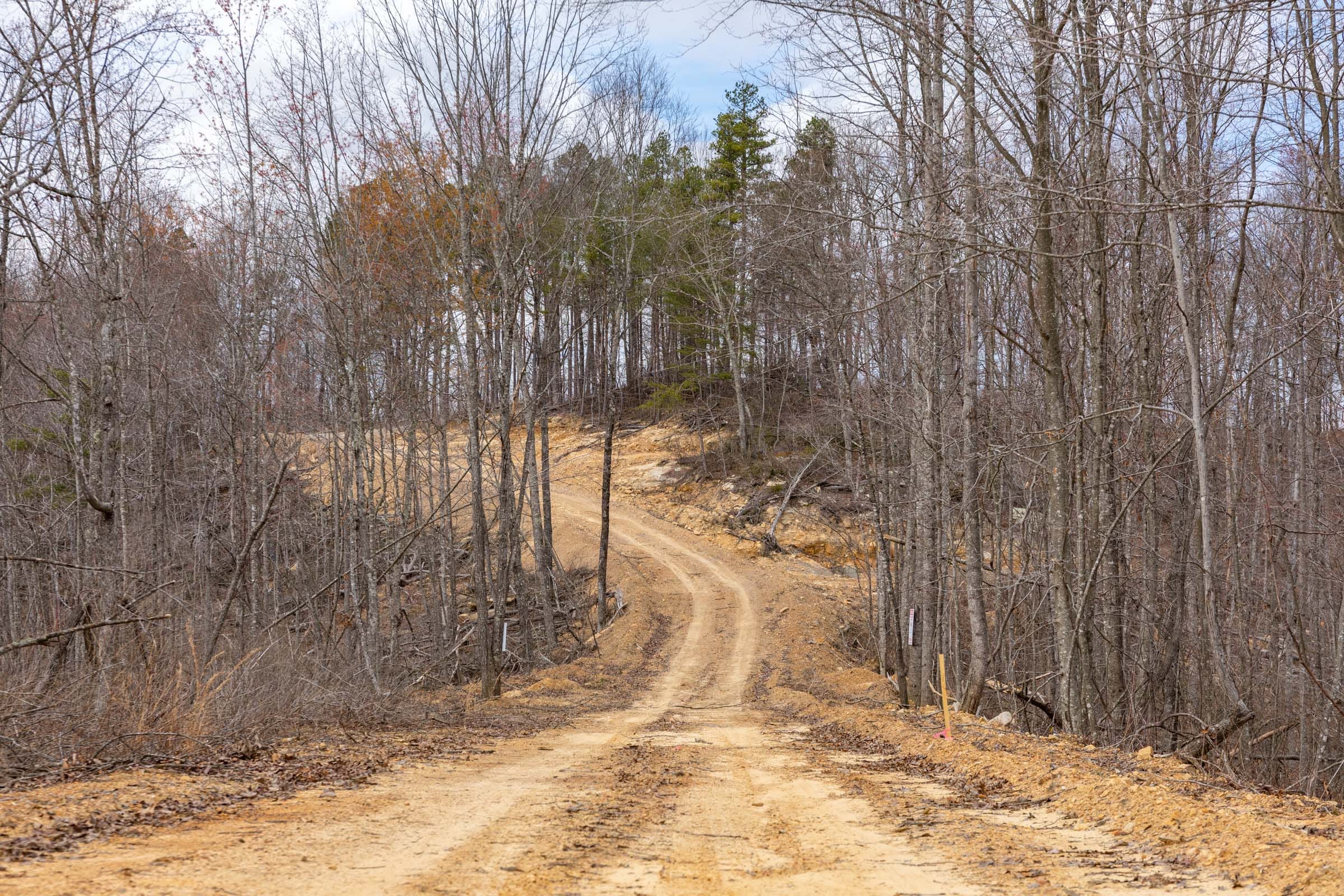 Creek Hollow Phase I Tract 31 photo 1