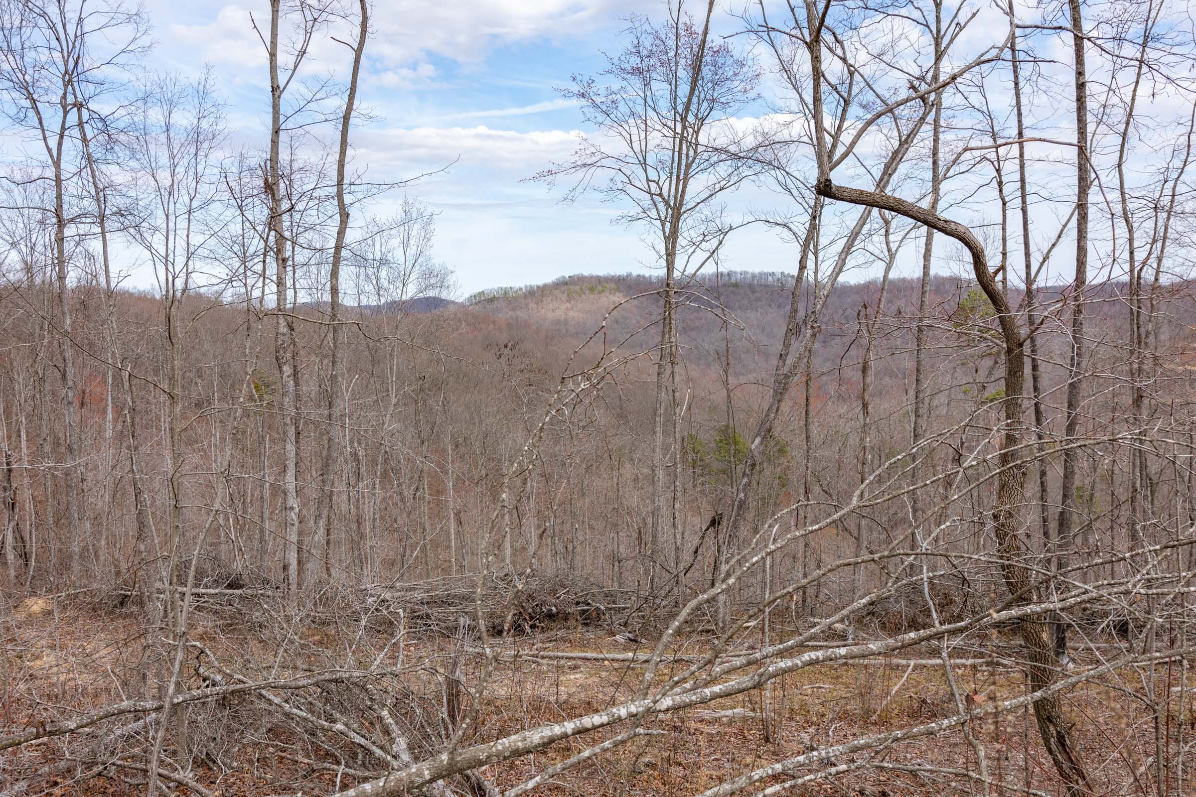 Creek Hollow Phase I Tract 31 photo 10