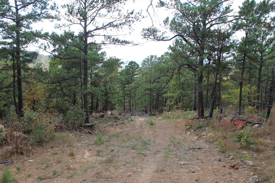 Indian Ridge – Phase III Tract 99 photo 2