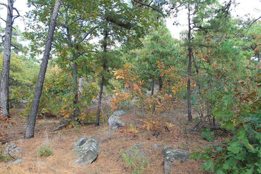 Indian Ridge – Phase III Tract 99 photo 5