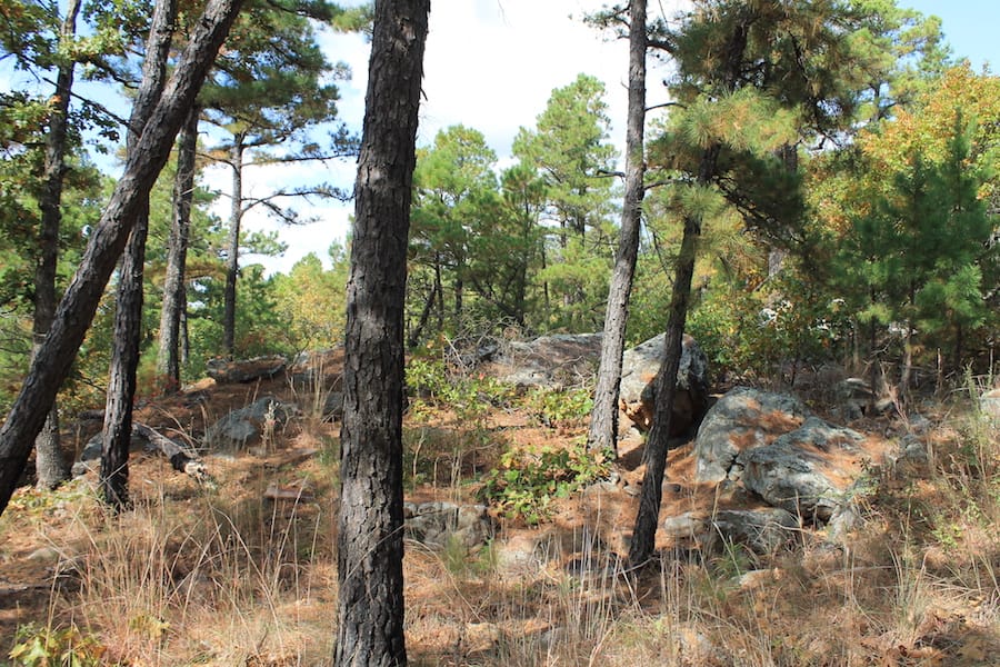 Indian Ridge – Phase III Tract 99 photo 7