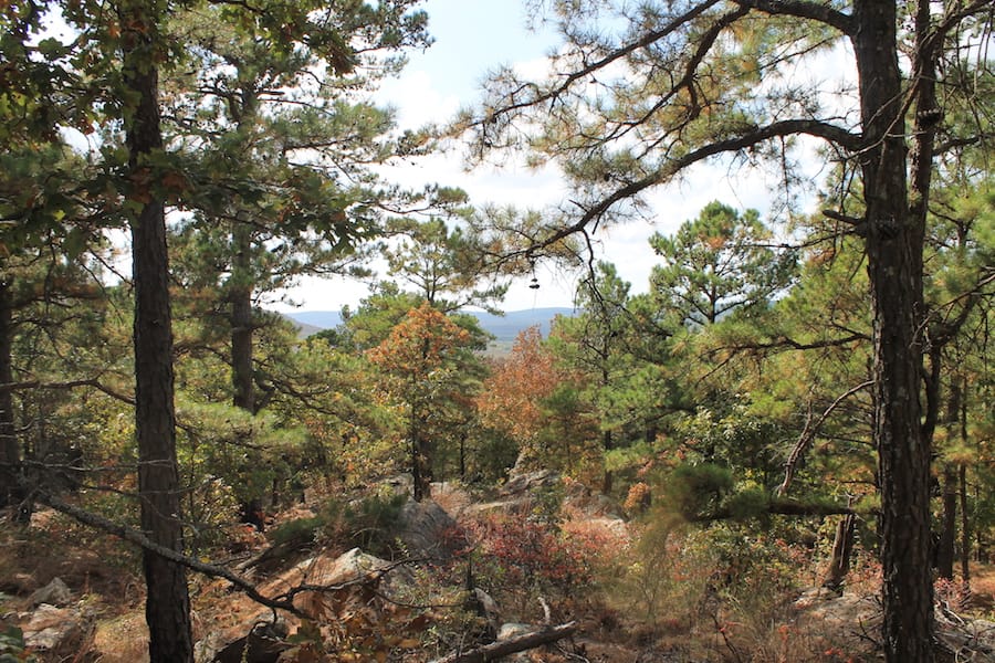 Indian Ridge – Phase III Tract 99 photo 10