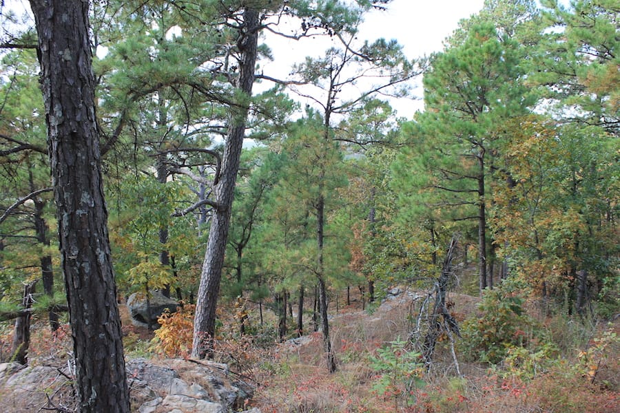 Indian Ridge – Phase III Tract 99 photo 12