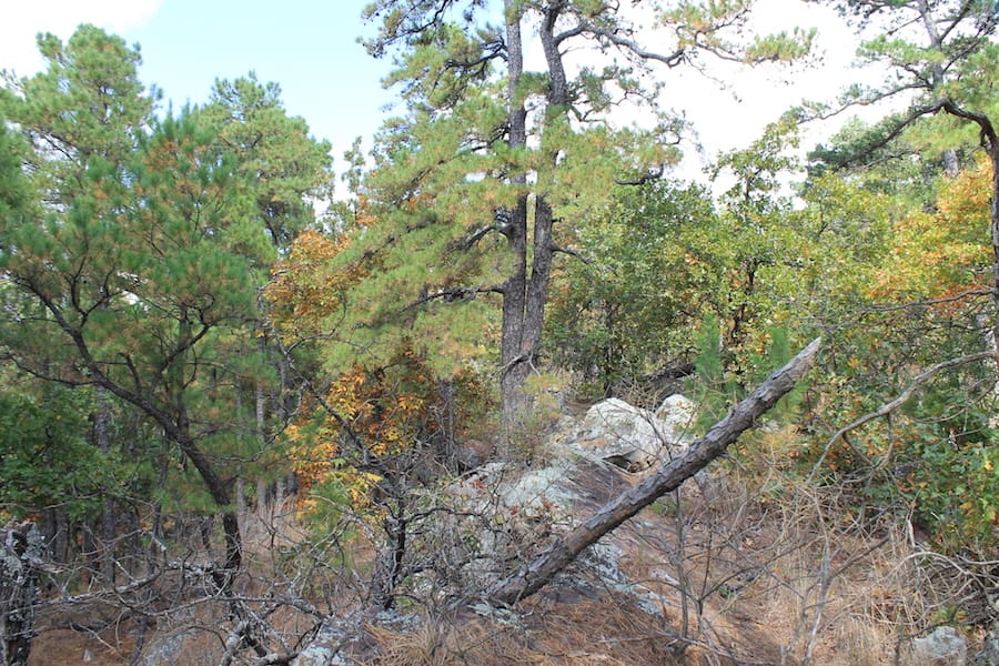 Indian Ridge – Phase III Tract 99 photo 13