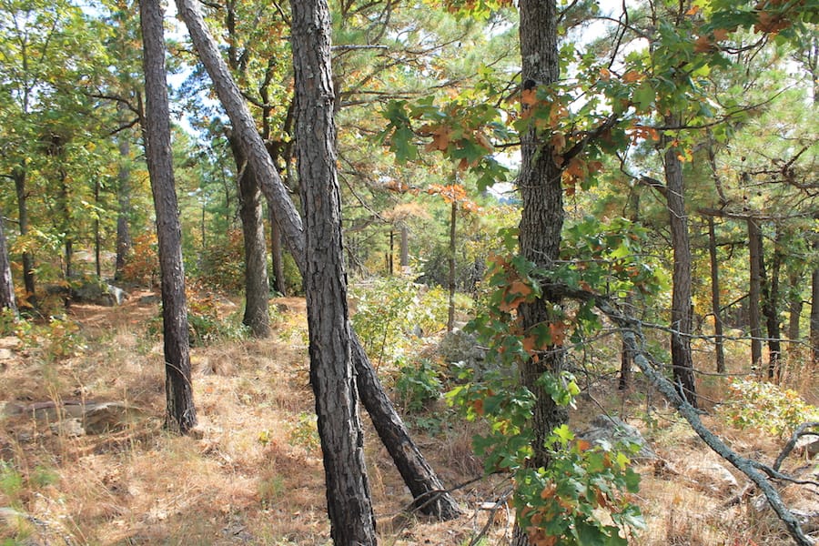 Indian Ridge – Phase III Tract 99 photo 15