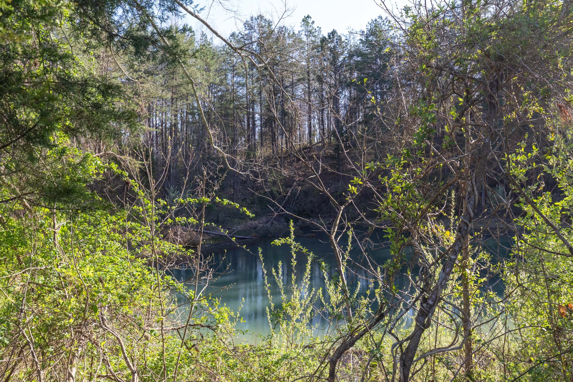 Woodland Heights Tract 2 photo 3