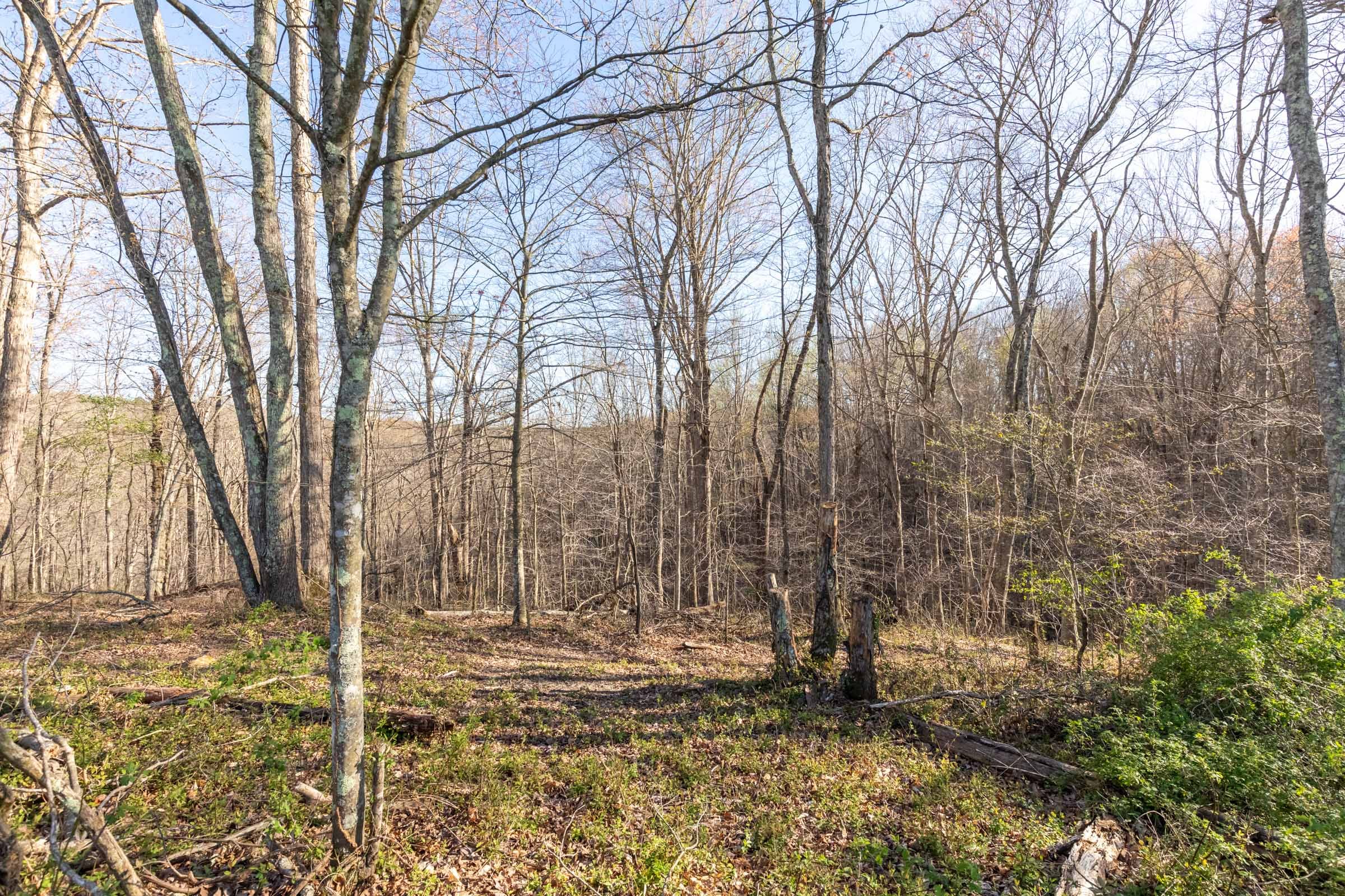 Woodland Heights Tract 2 photo 4