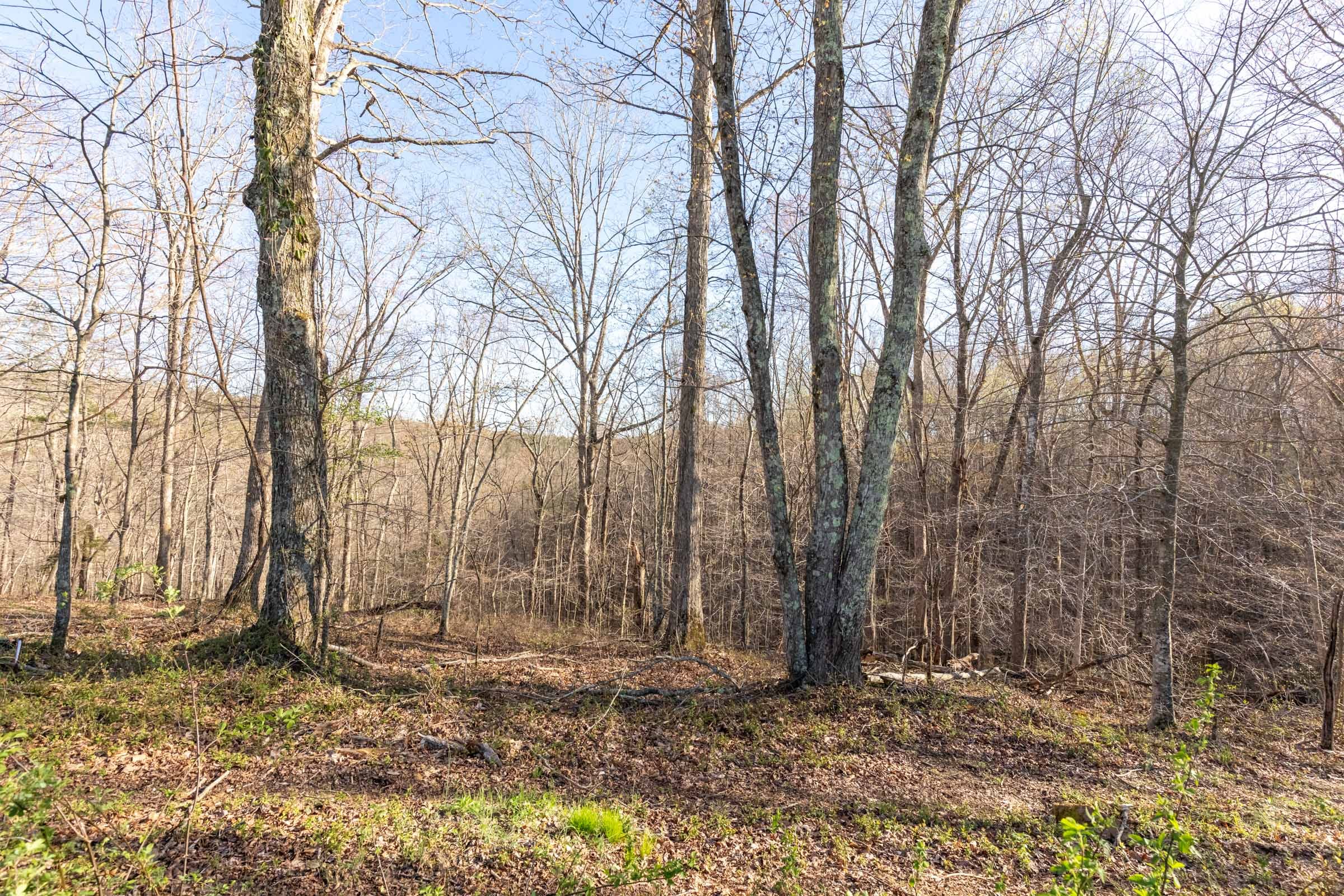 Woodland Heights Tract 2 photo 6