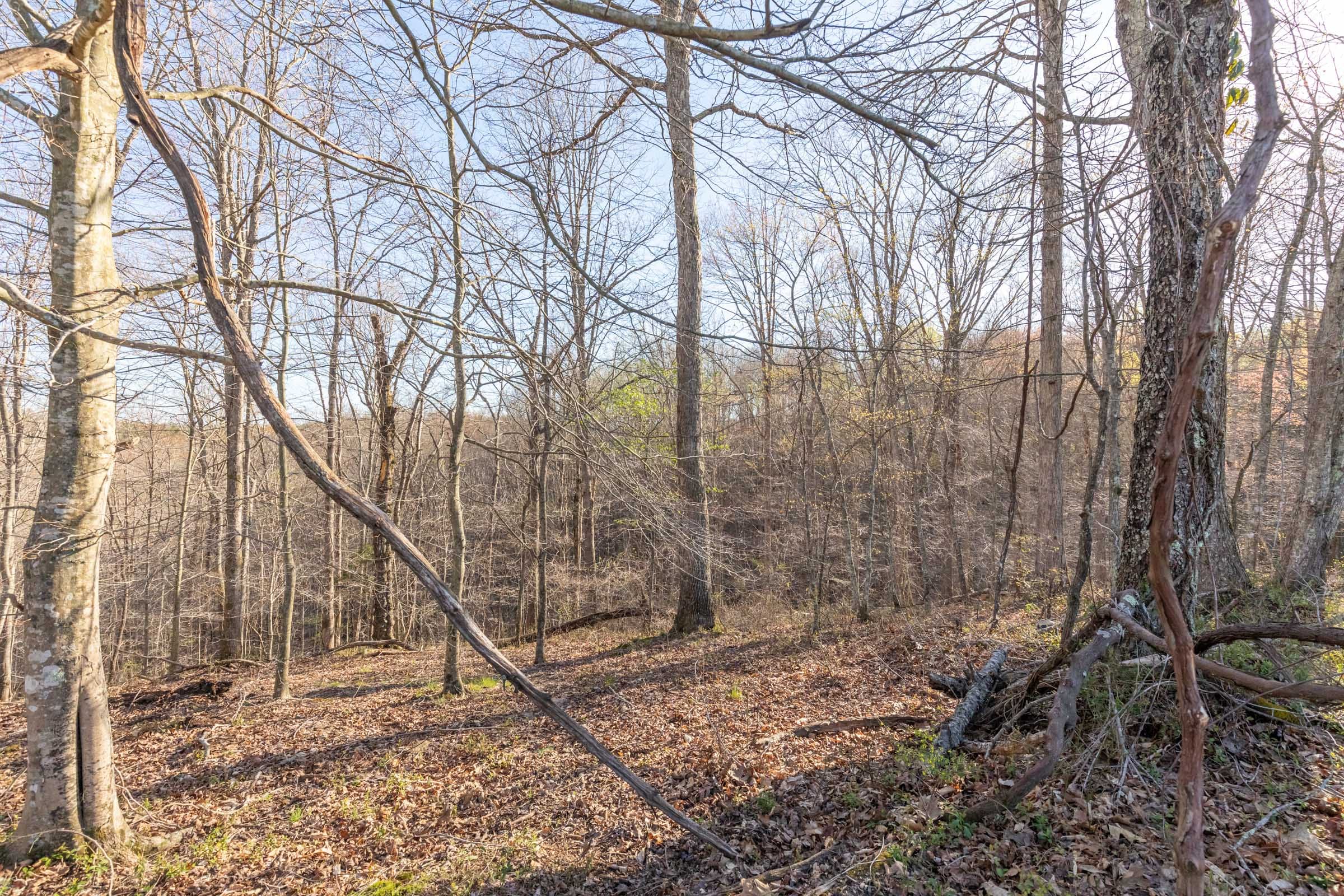 Woodland Heights Tract 2 photo 10