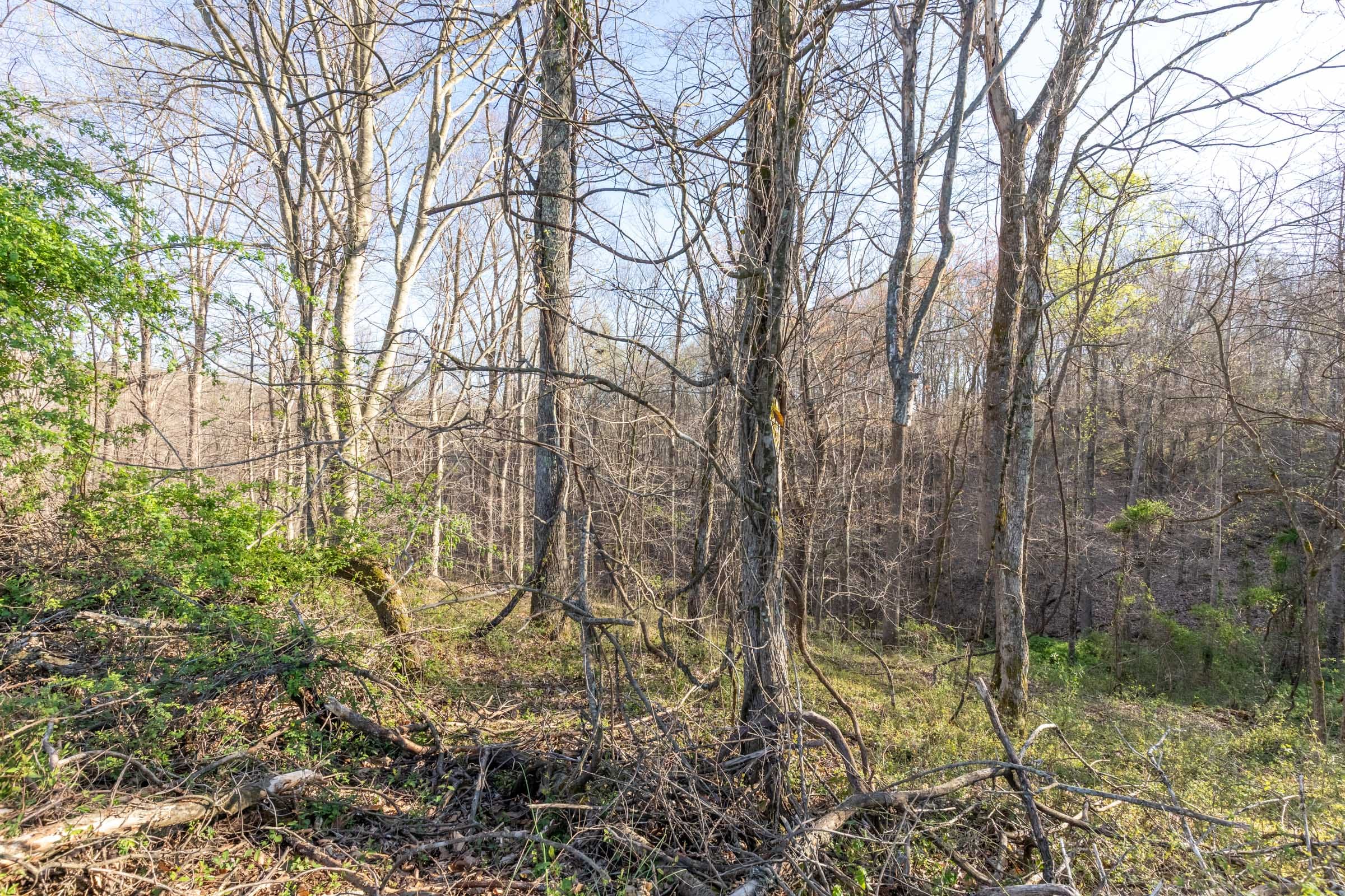 Woodland Heights Tract 2 photo 11