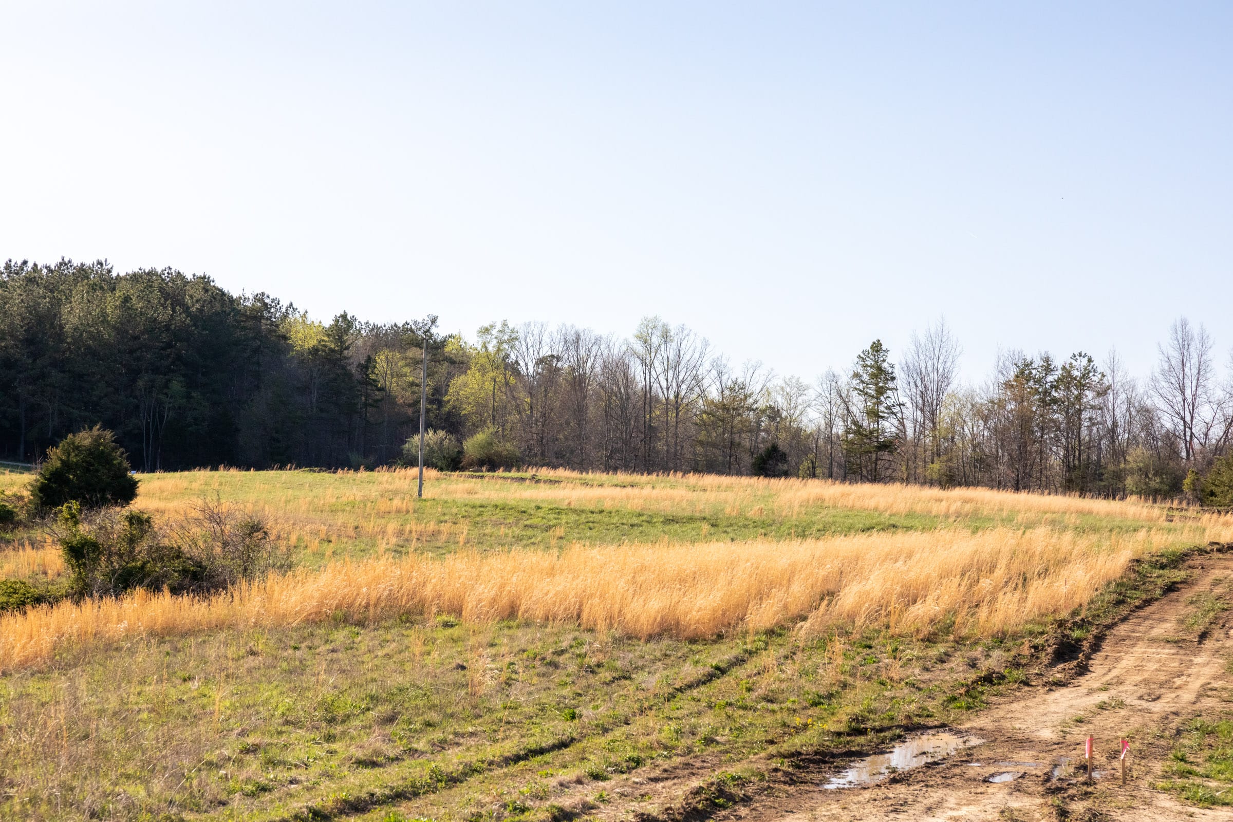 Woodland Heights Tract 2 photo 9