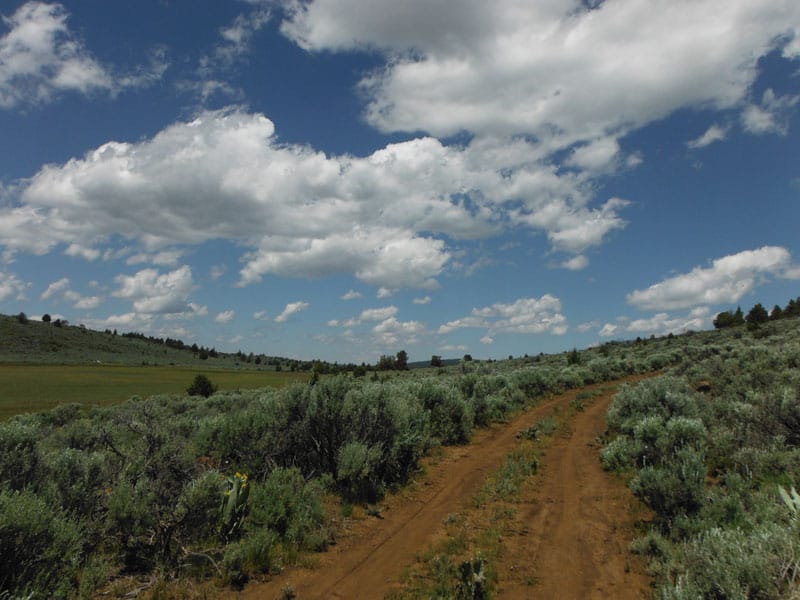 Moon Valley Ranch Tract 154 photo 1