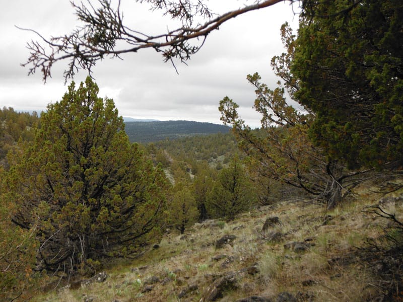 Moon Valley Ranch Tract 154 photo 3