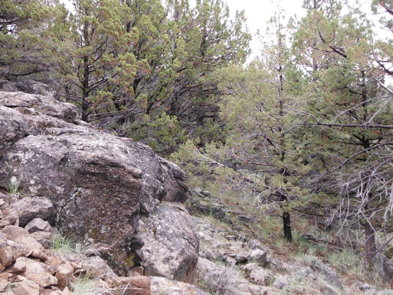 Moon Valley Ranch Tract 154 photo 4