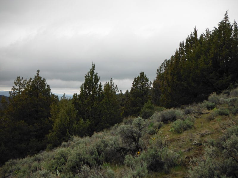 Moon Valley Ranch Tract 154 photo 5