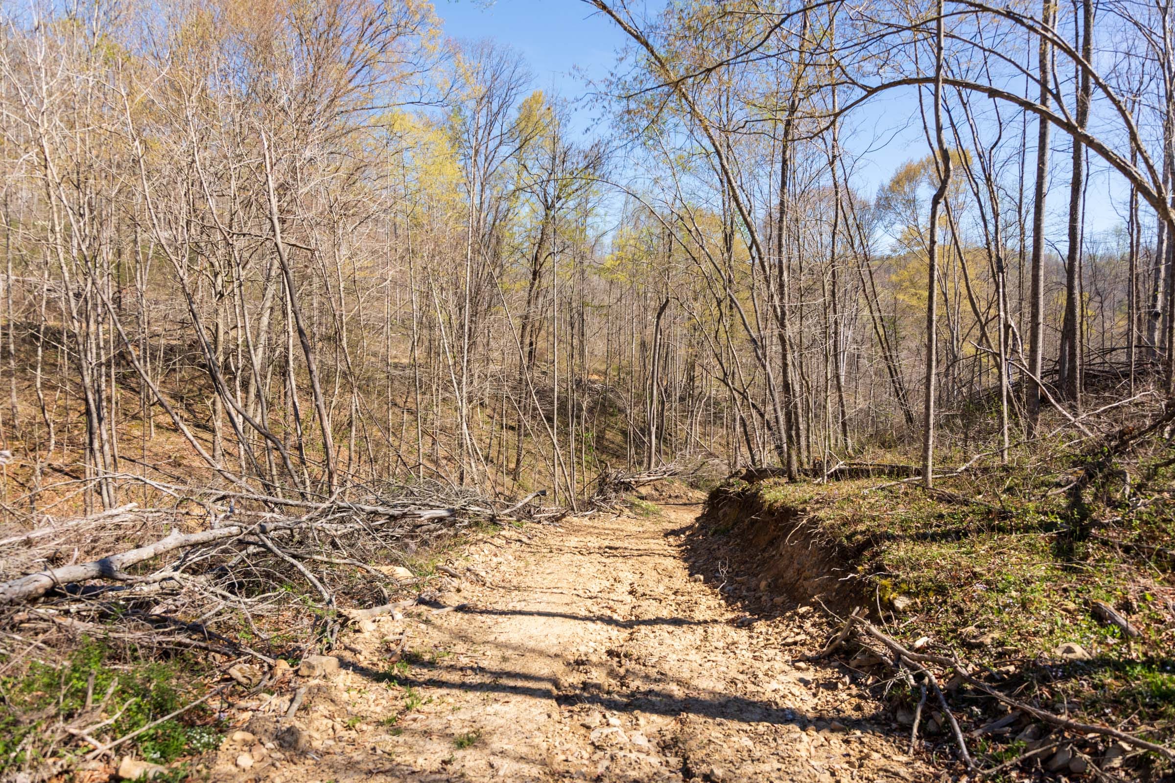 Creek Hollow Phase I Tract 43 photo 7