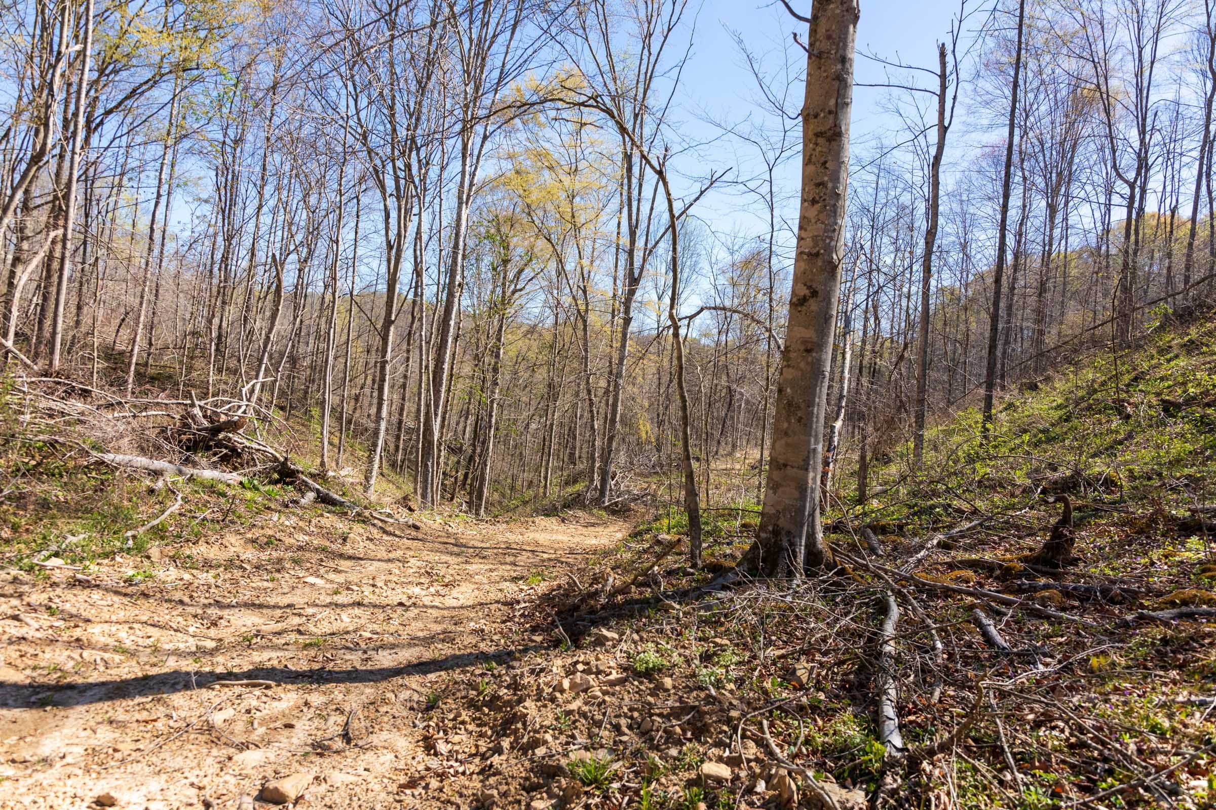 Creek Hollow Phase I Tract 43 photo 5