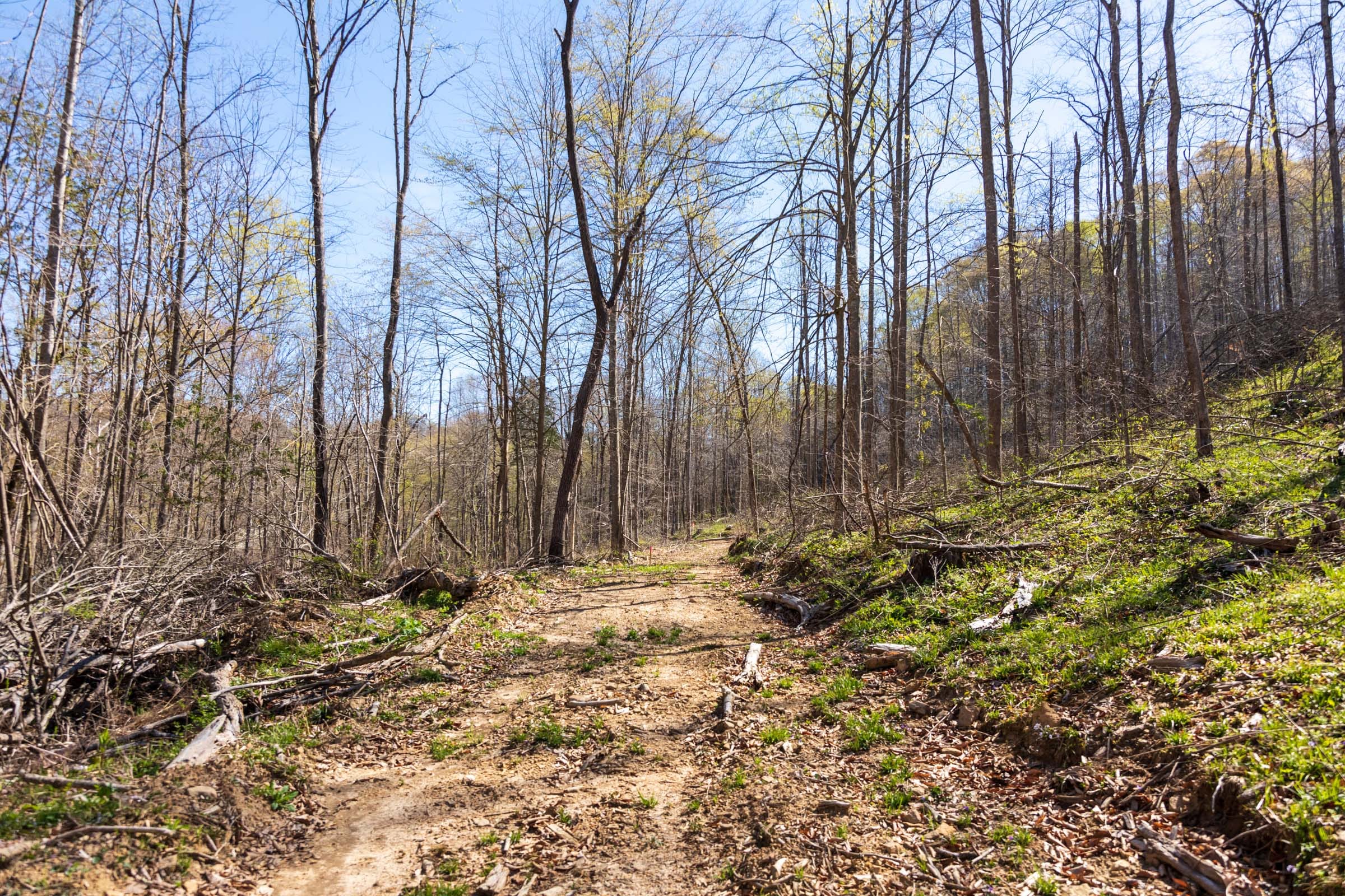 Creek Hollow Phase I Tract 43 photo 3