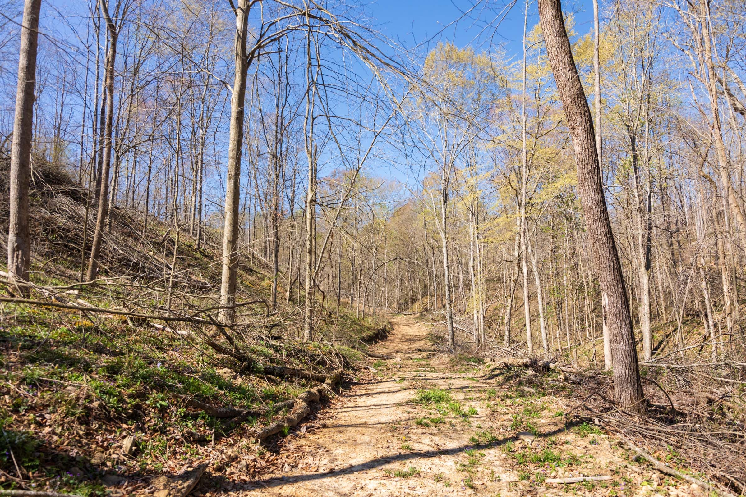 Creek Hollow Phase I Tract 43 photo 1