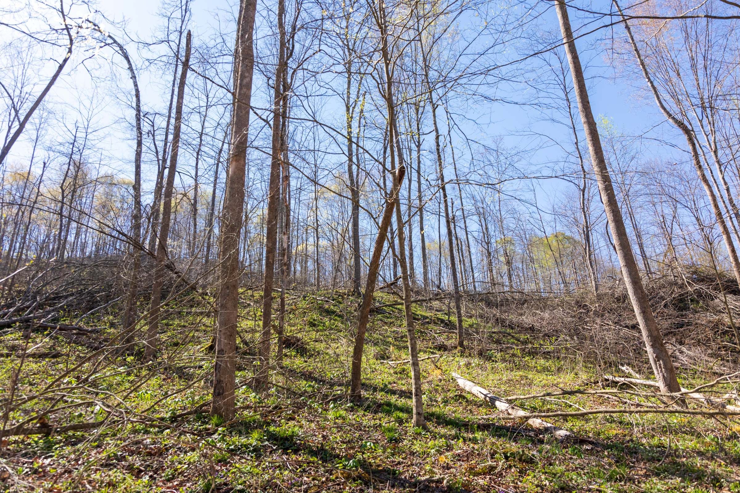 Creek Hollow Phase I Tract 43 photo 2
