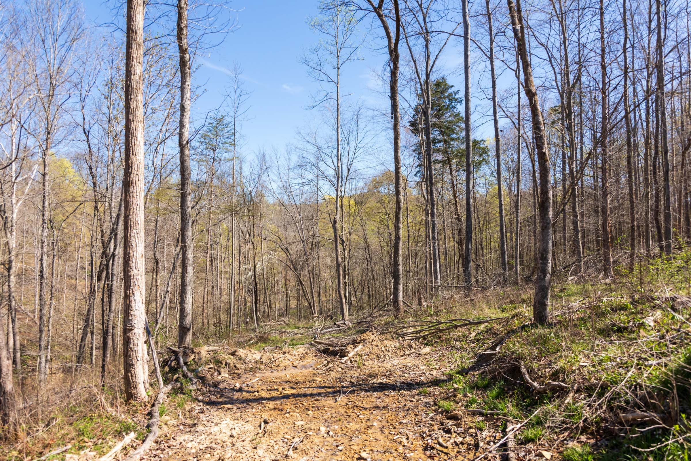 Creek Hollow Phase I Tract 43 photo 6