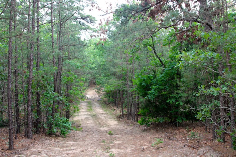 Trophy Ridge Phase II Tract 82 photo 1