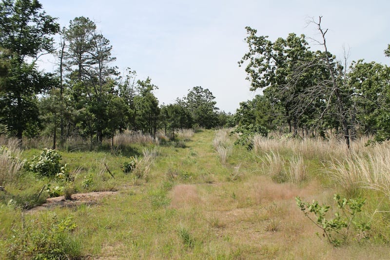 Indian Ridge – Phase II Tract 67 photo 1