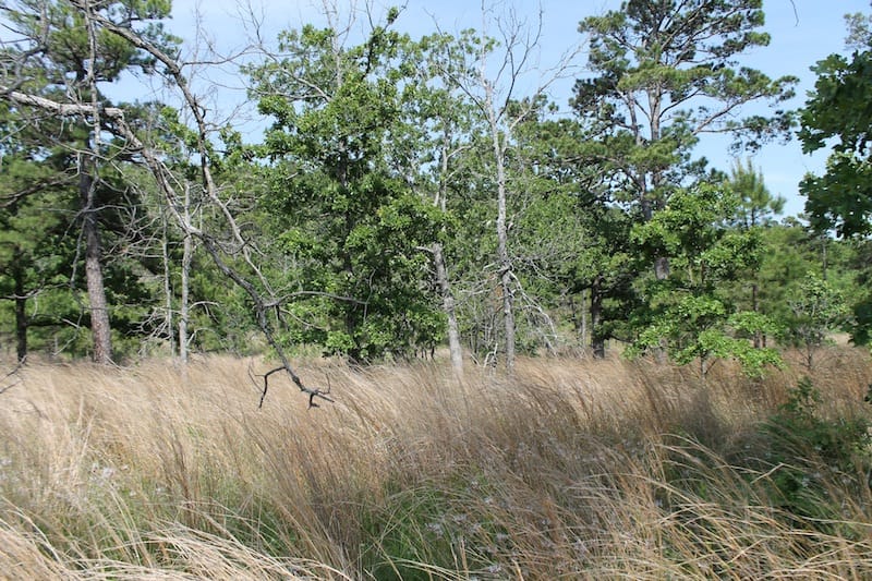Indian Ridge – Phase II Tract 67 photo 3