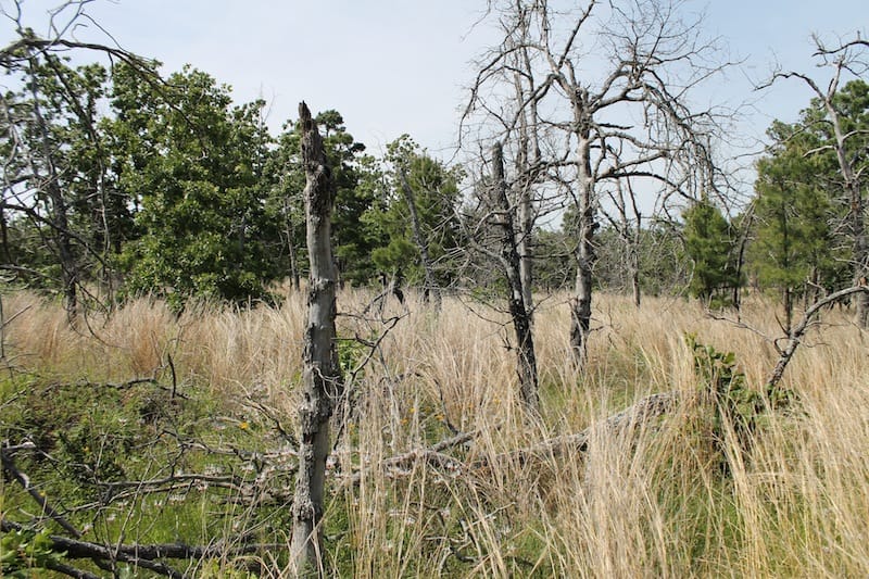 Indian Ridge – Phase II Tract 67 photo 4