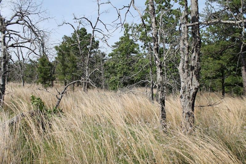 Indian Ridge – Phase II Tract 67 photo 5
