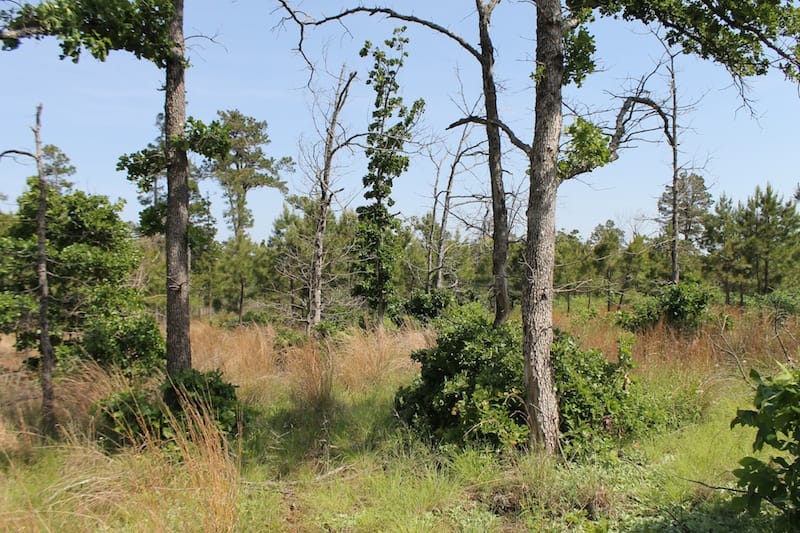 Indian Ridge – Phase II Tract 67 photo 6
